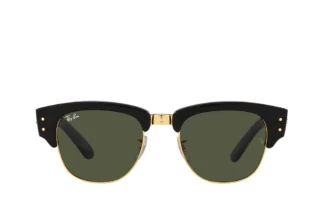 Ray-Ban 0316S Sunglass