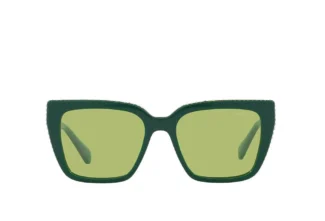 Swarovski 6013 Sunglass